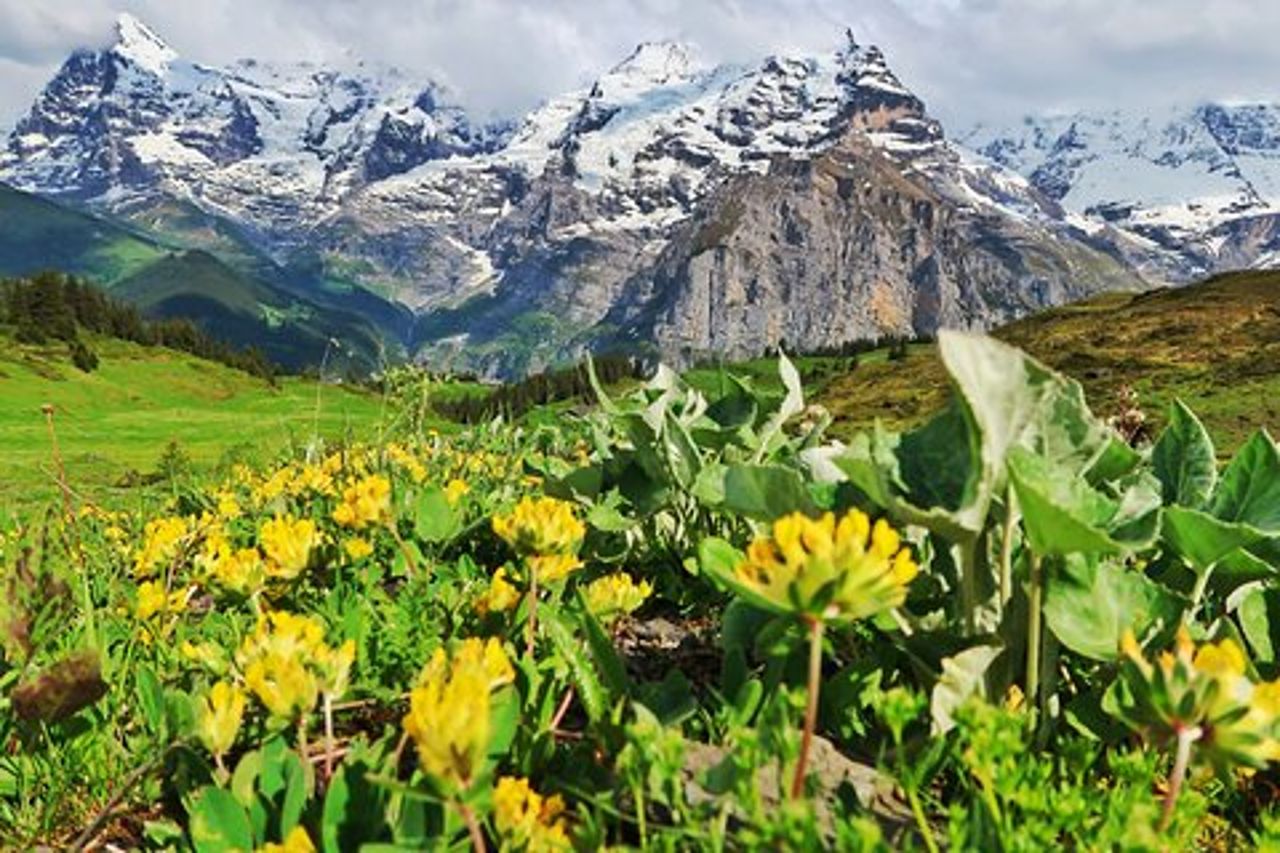 Escursione Lauterbrunnen-Murren tra cui Trummelbach Cascate Visita