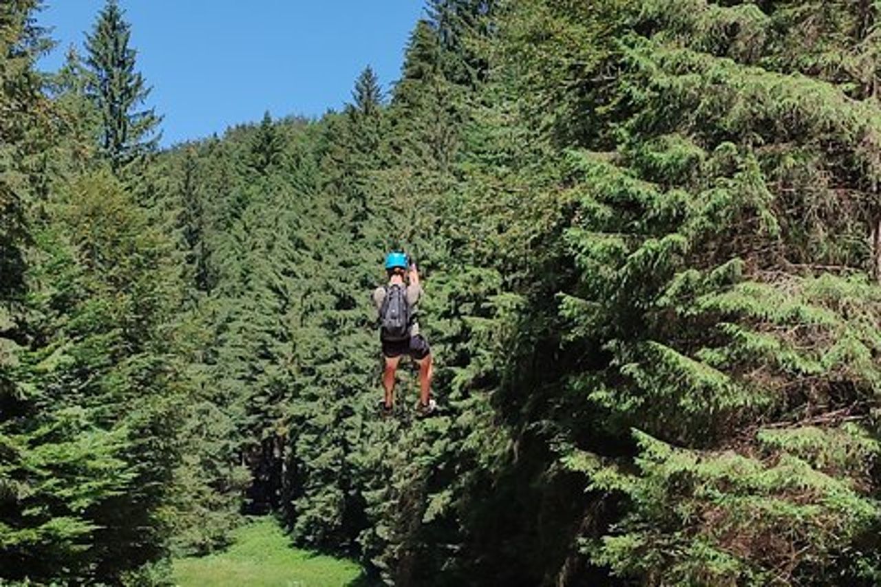 Brasov: Bear Sanctuary & 7 Leaders Canyon con linea zip inclusa