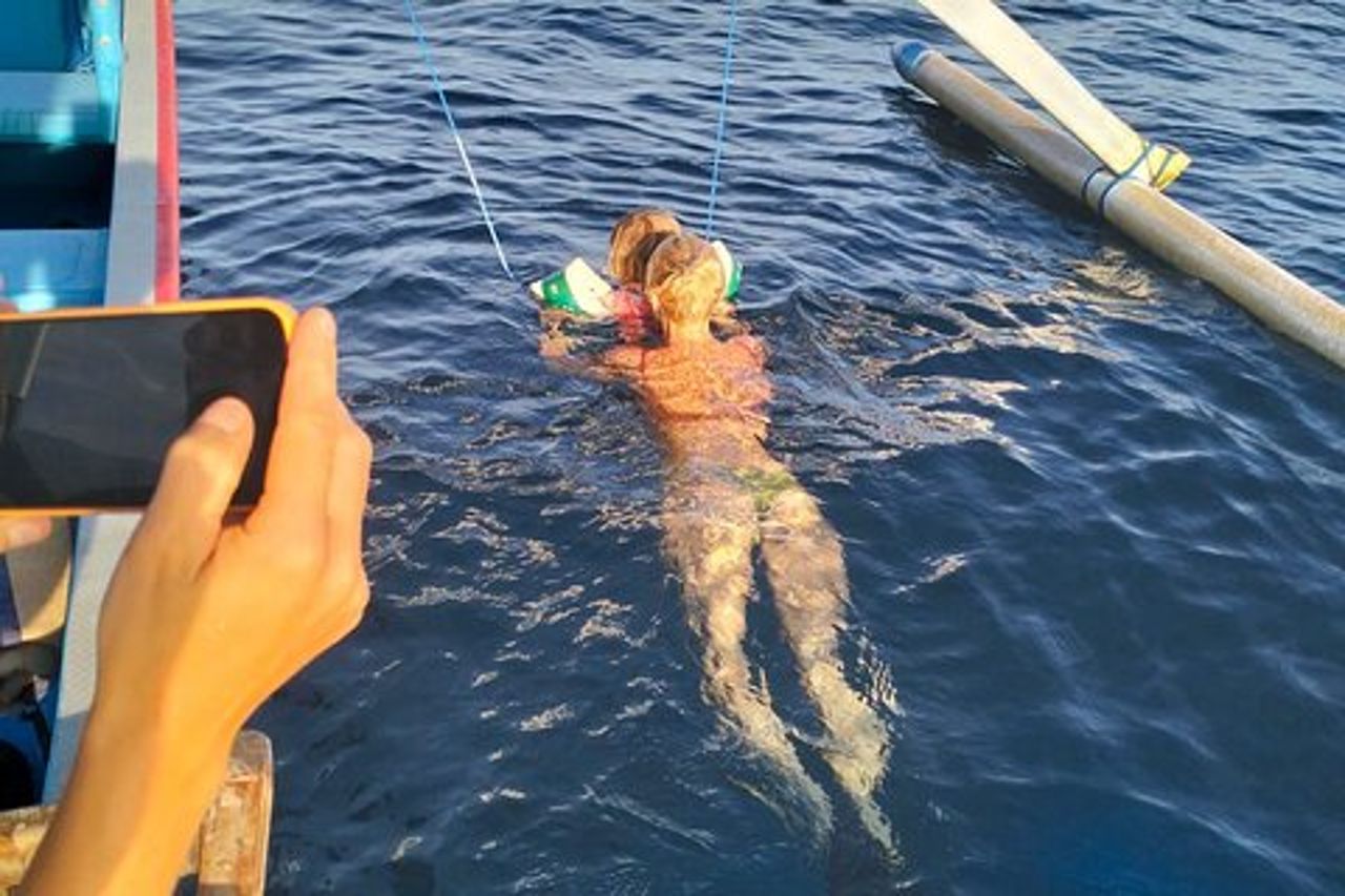 Lovina Family Adventure Dolphins, Alba e Snorkeling