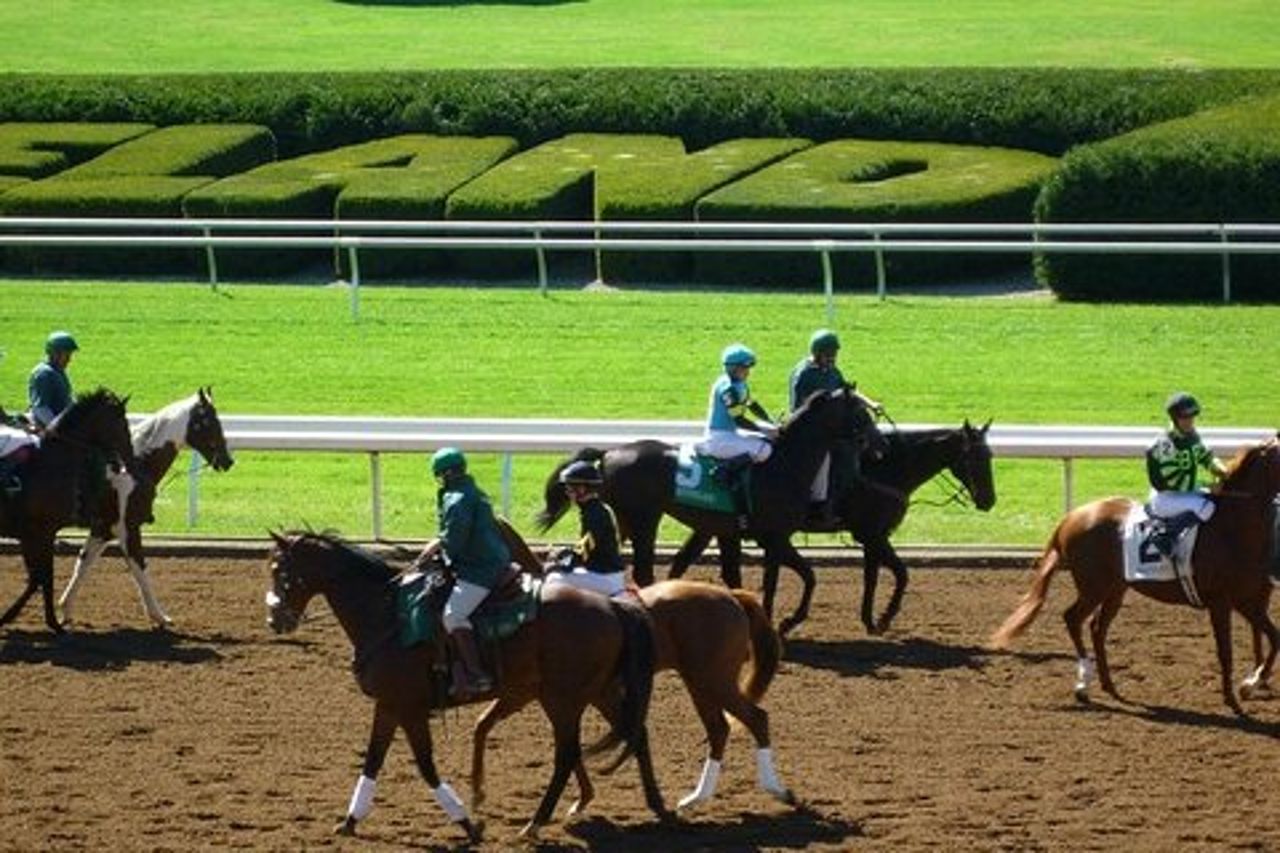 Passeggiate a cavallo B&C, Keeneland o Churchill Down Racetrack.