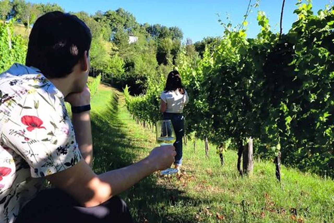Winery Tour e degustazione di 4 vini alla Cantina Le Macchie vicino Roma