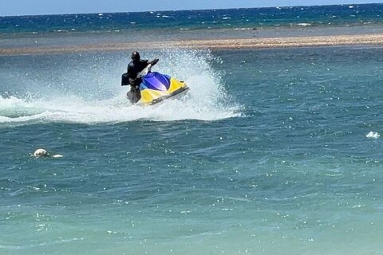 Tour di un giorno al Negril Ricks cafe