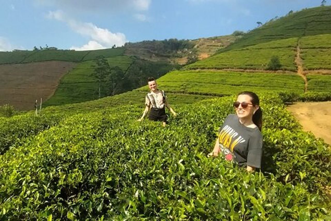 Tour privato di un giorno da Kandy a Nuwara Eliya: fabbrica di tè e Gregory Lake