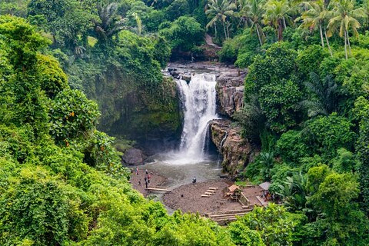 Gita privata di un giorno a Bali