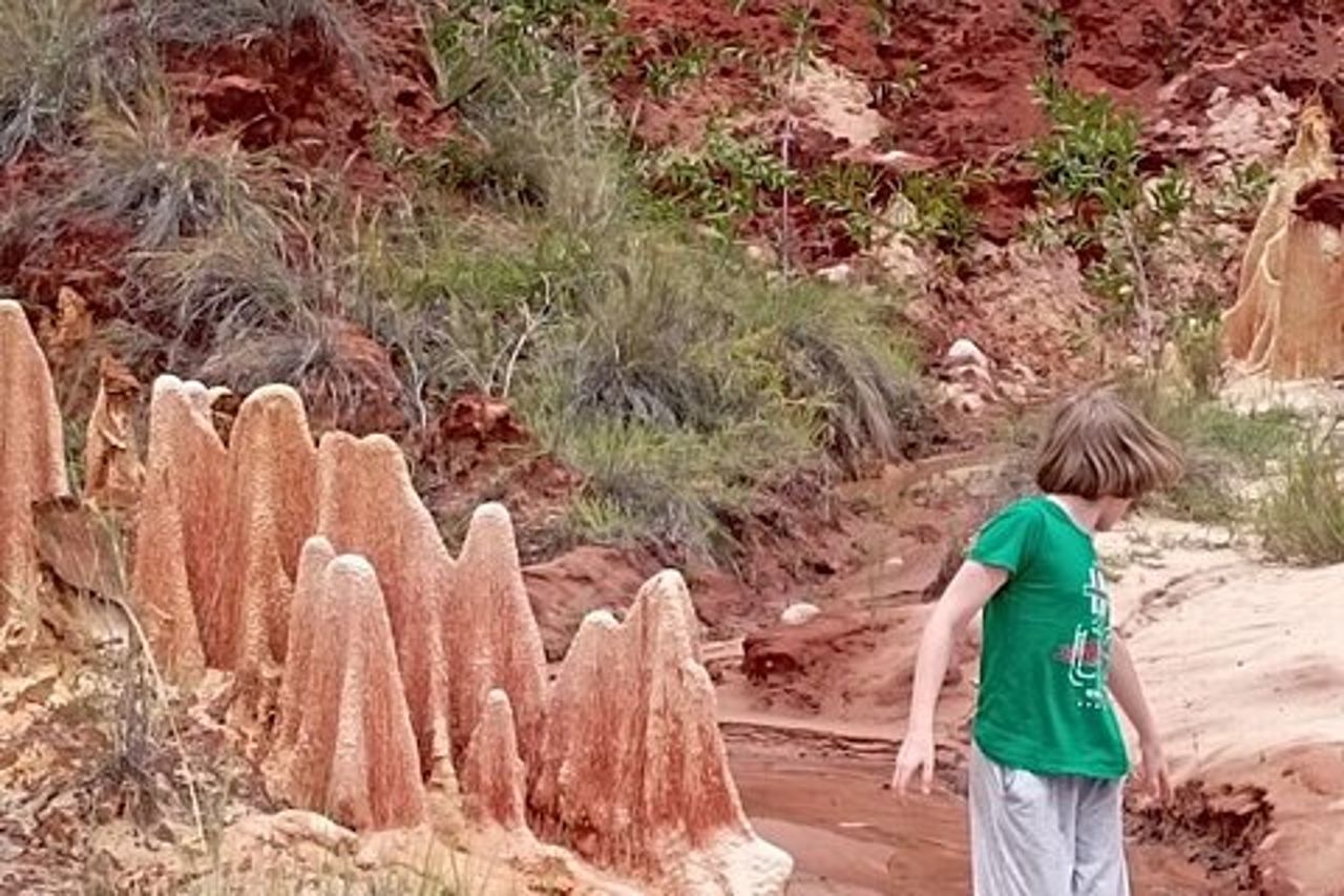 Madagascar Red Tsingy Tour di mezza giornata da Diego Suarez