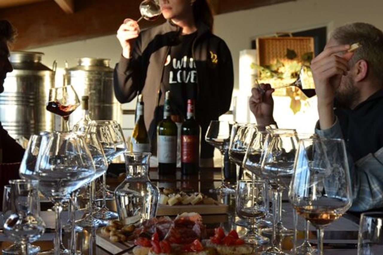 Tour e degustazione in cantina tra le colline del Chianti