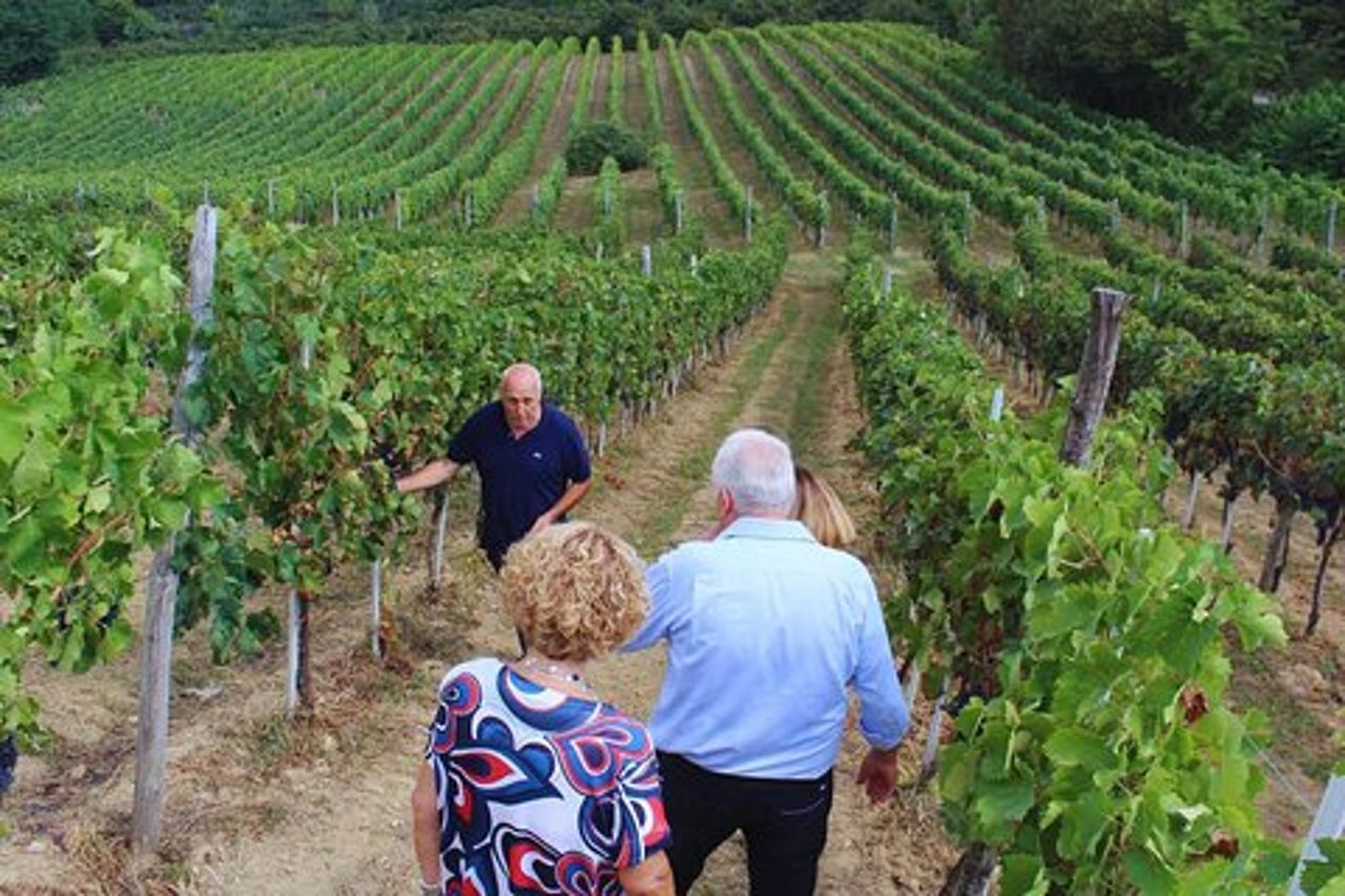Avellino : Tour in cantina con degustazione di vini e cibi locali