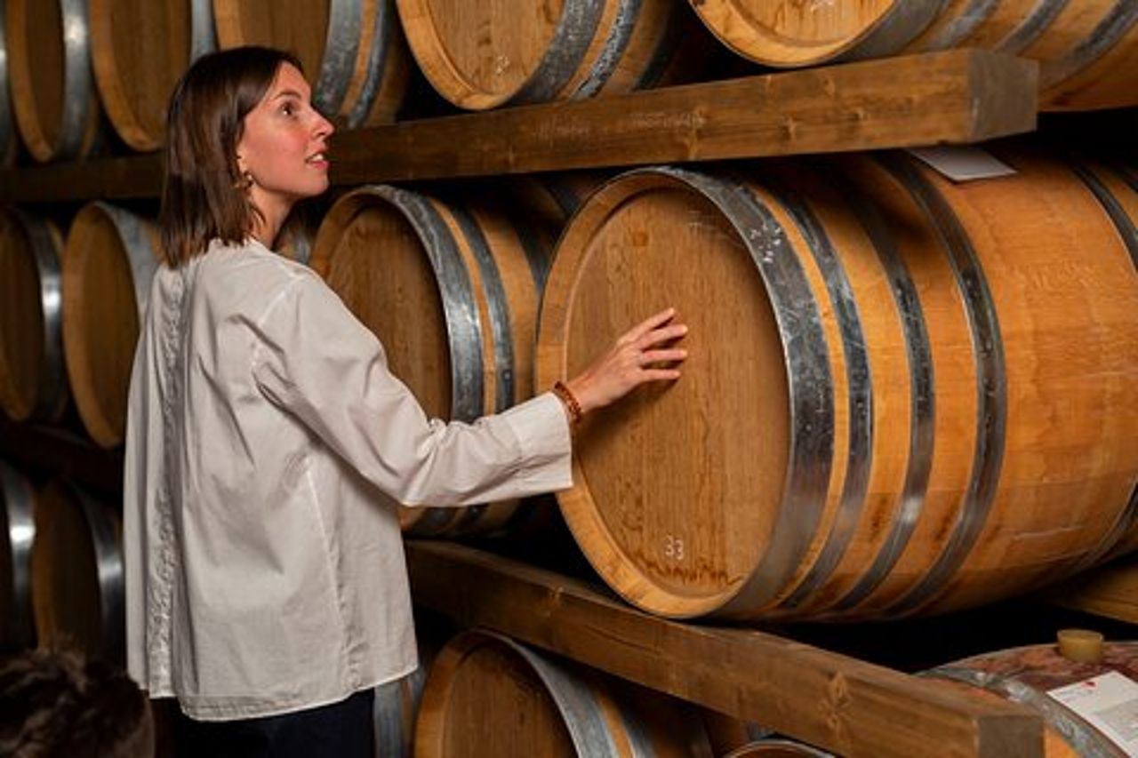 Nettare di Leggenda: Alla Scoperta dei Vini e dei Miti del Garda