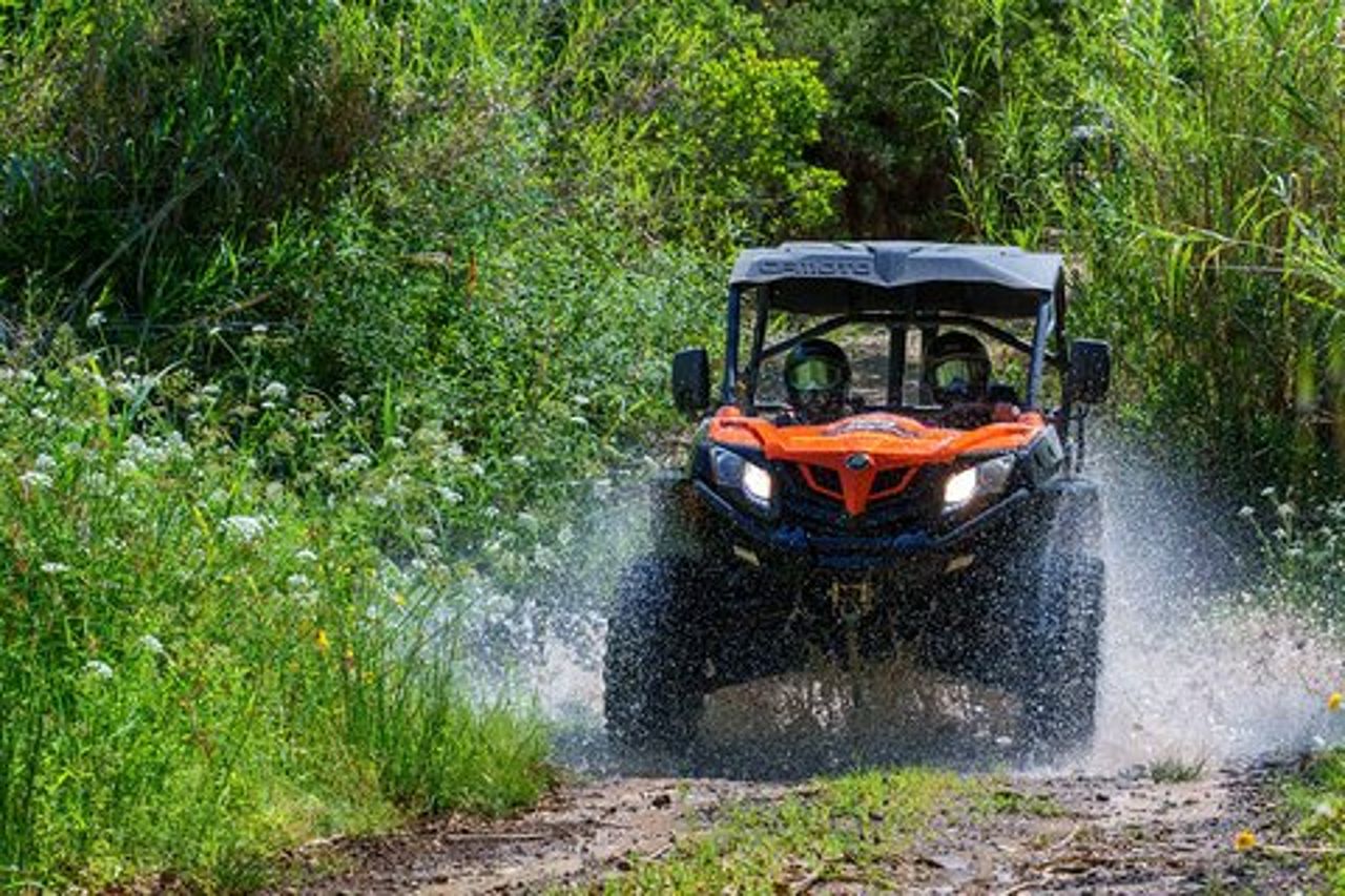 Tour in buggy dell'Algarve