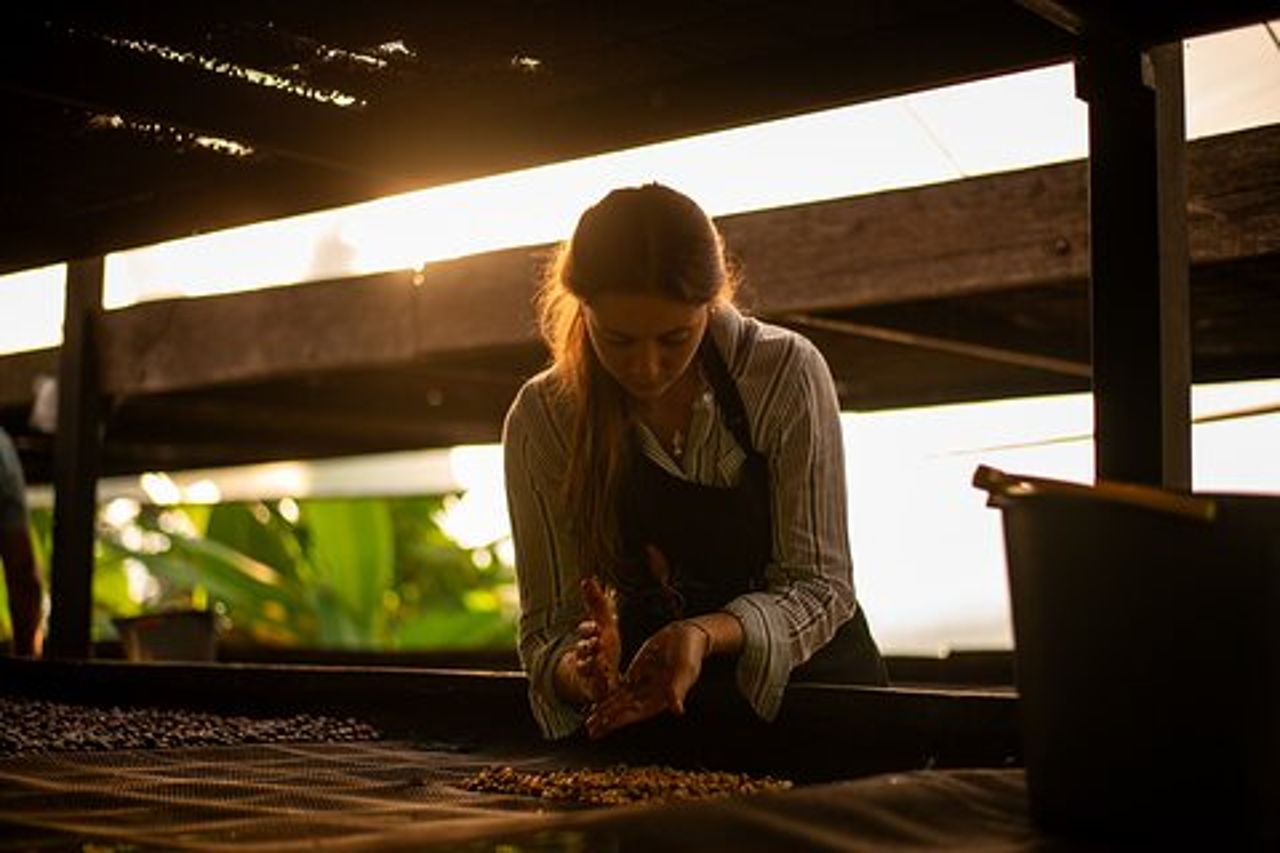 Tour del caffè da Bogotà alle piantagioni di La Palma e El Tucán