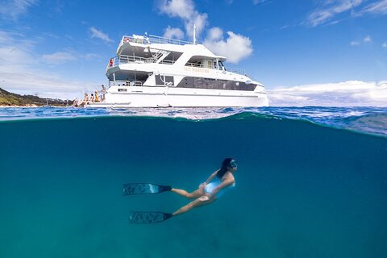 Moreton Island & Tangalooma Relitti Crociera con snorkeling - Brisbane
