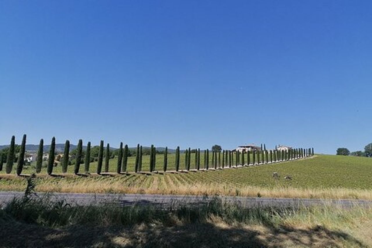Tour privato di Assisi e Spoleto da Roma