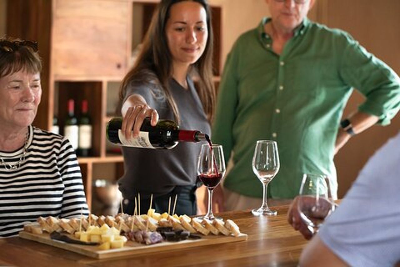 Tour di un'intera giornata Saint Emilion con pranzo due Chateaux e Village
