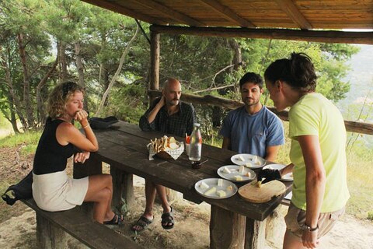 Cheese & wine tour in Piedmont with tasting and lunch on a farm.