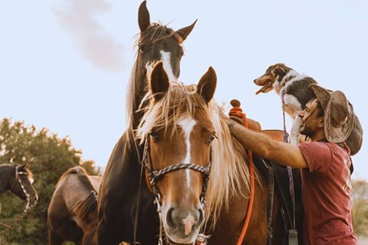 Passeggiata a cavallo di 2 ore nella Riserva Naturale del Furlo a Urbino