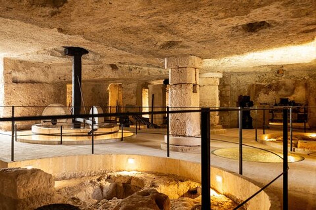 Museo dell'Olio di Oliva - Frantoio Ipogeo Medievale - Fasano