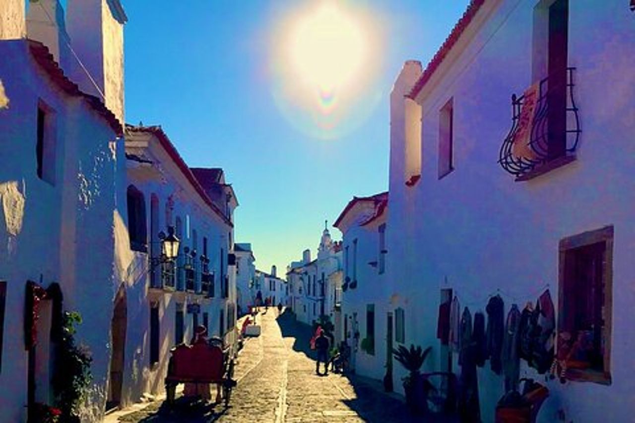 7 - Ebike guidata di un giorno in Alentejo : Tour in bicicletta del vino e del castello