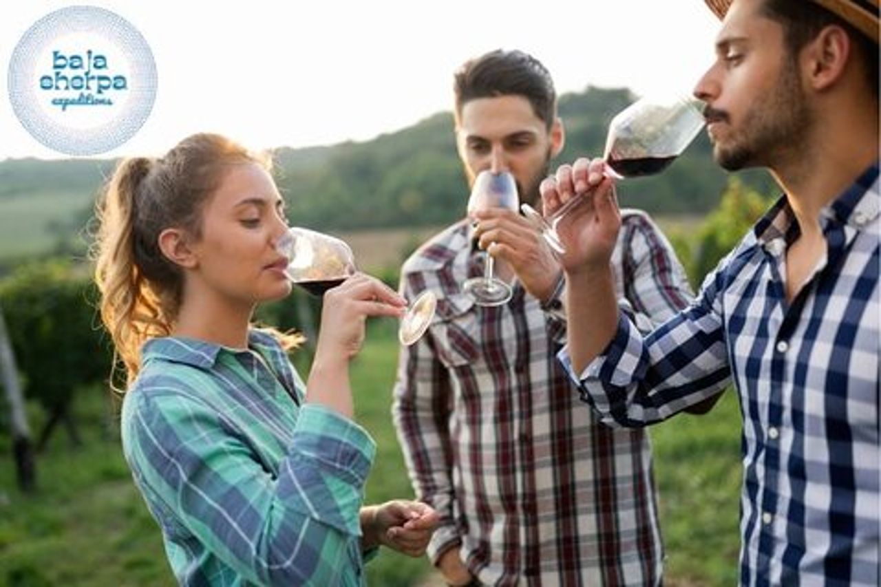 Tour privato del vino Deluxe a Valle de Guadalupe con veicolo di lusso