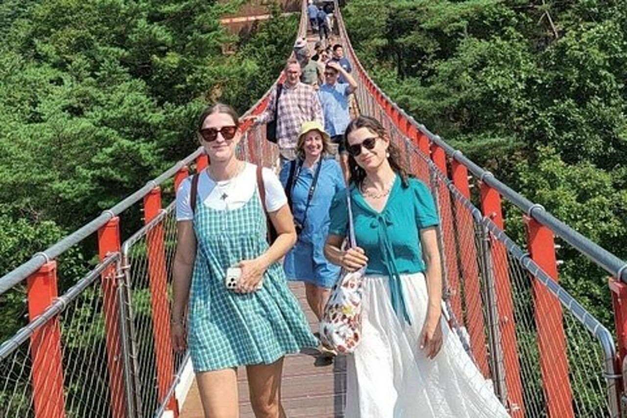 Signature DMZ Tour : Esclusivo NK Defector Talk + ponte sospeso