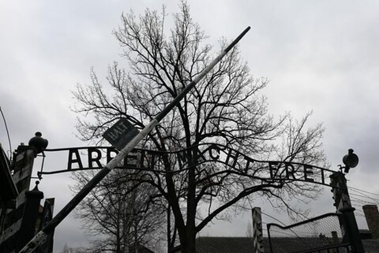 Tour guidato condiviso di Auschwitz Birkenau da Cracovia