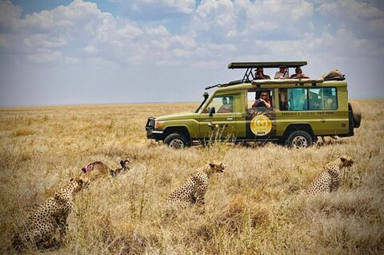 Tour classico di 3 giorni con safari di Serengeti