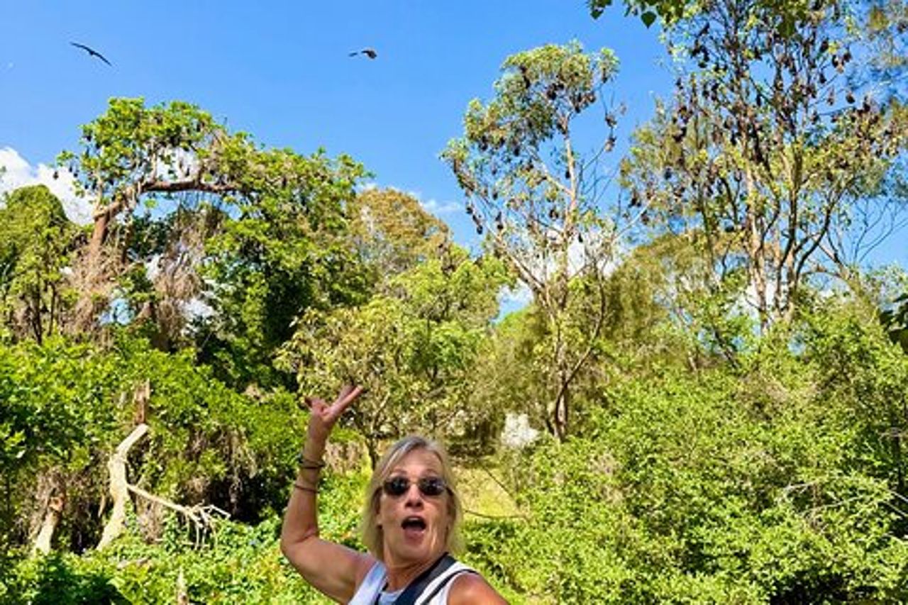 Esperienza Flying Fox, migliaia di pipistrelli più grandi d'Australia