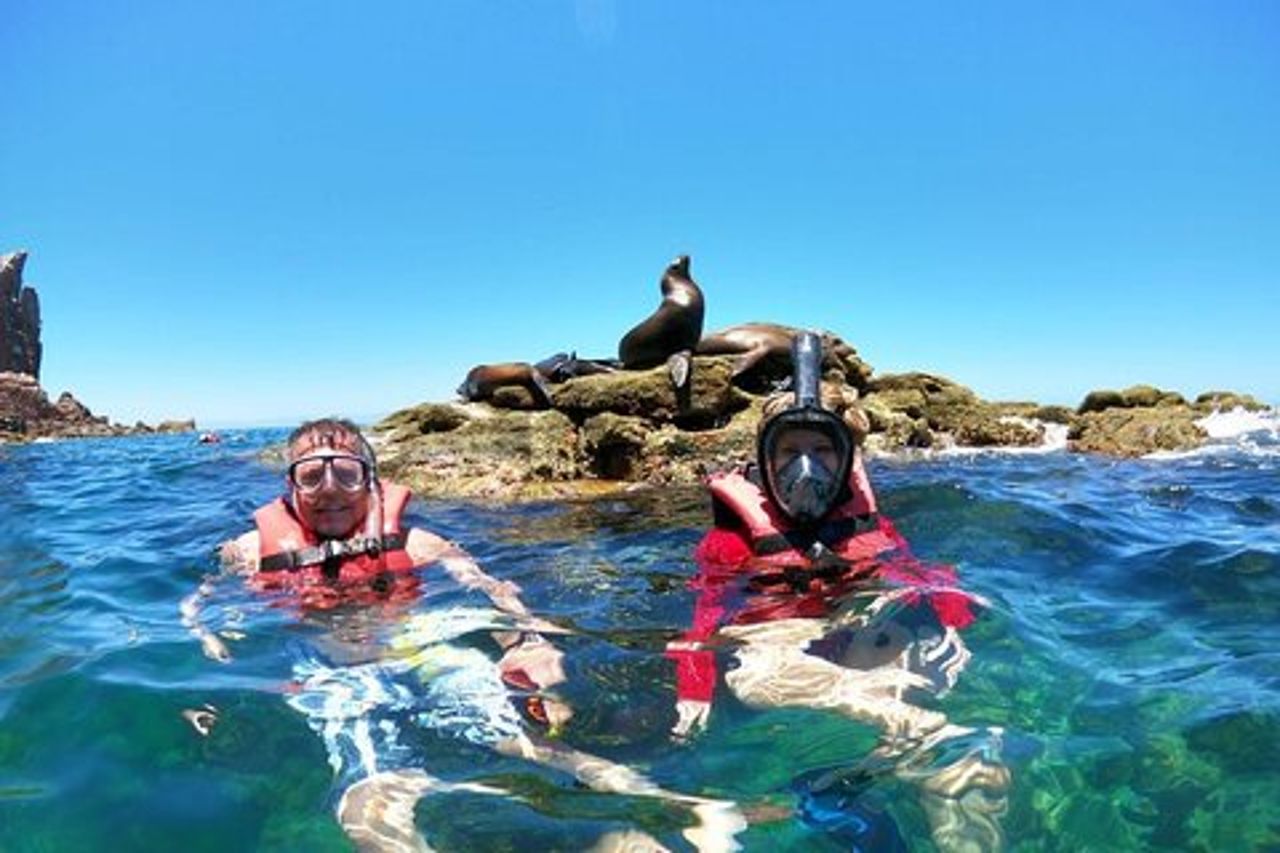 Tour dell'isola di Espíritu Santo e snorkeling con i leoni marini