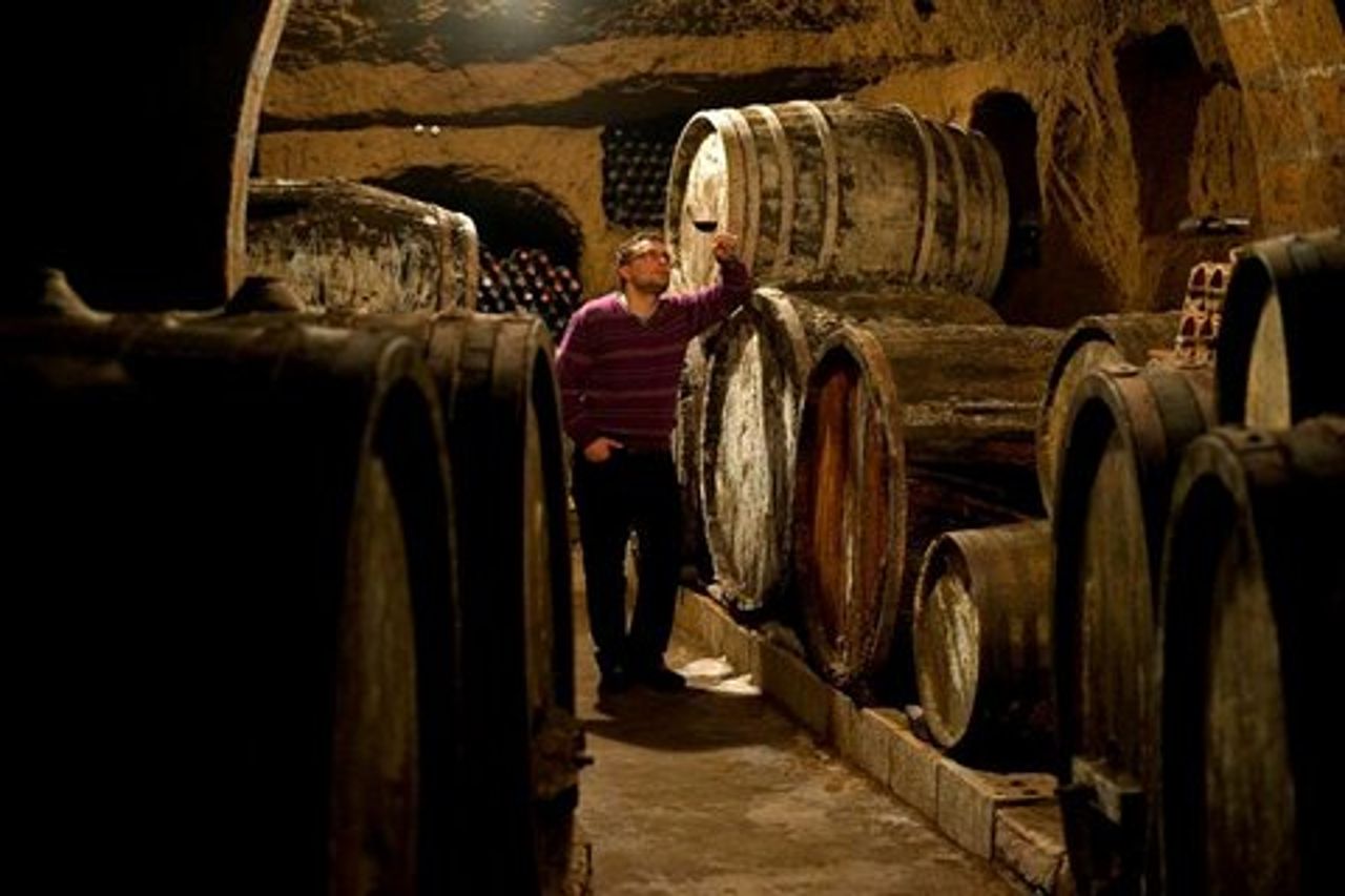 Degustazione di vini con visita alla cantina di cibo e tufo a Orvieto