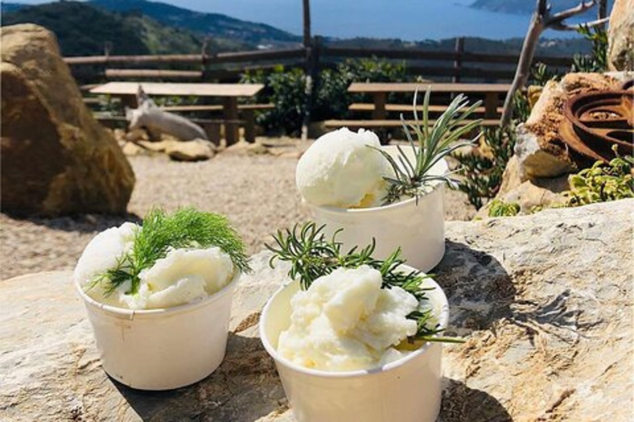 Merenda in Collina all'Elba con Gelato di Capra Tour e-Bike