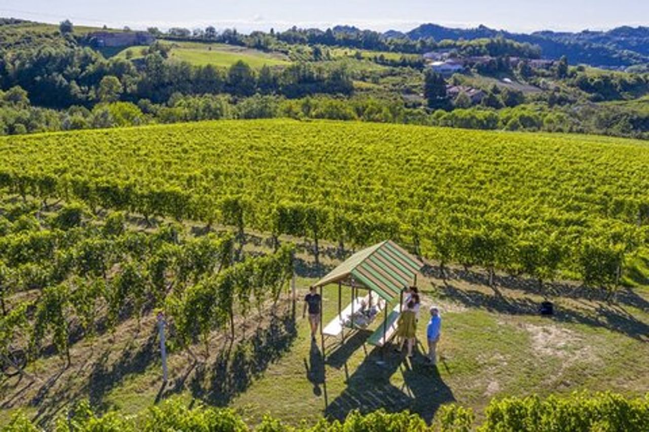 Degustazione e Abbinamenti nelle Langhe e vicino Alba