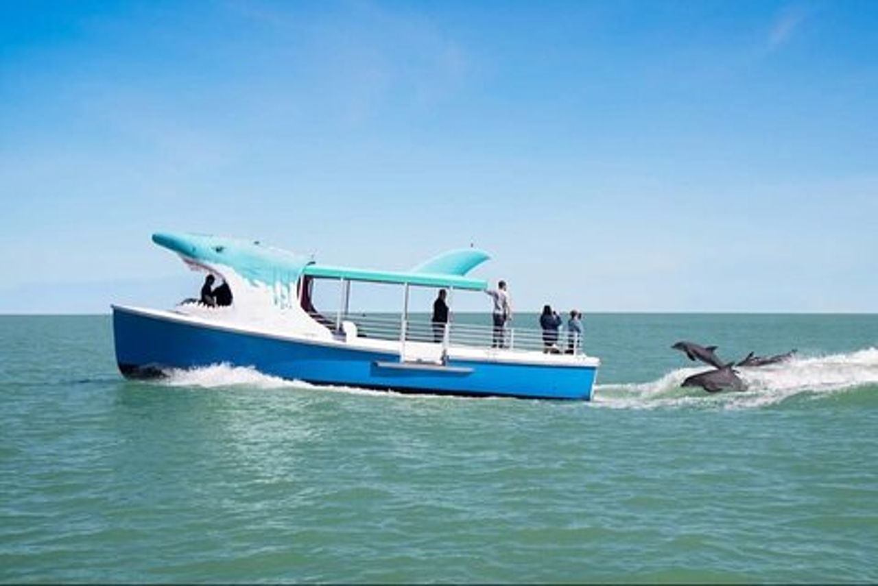 Shark Boat Destin Dolphin Watch e crociera al tramonto