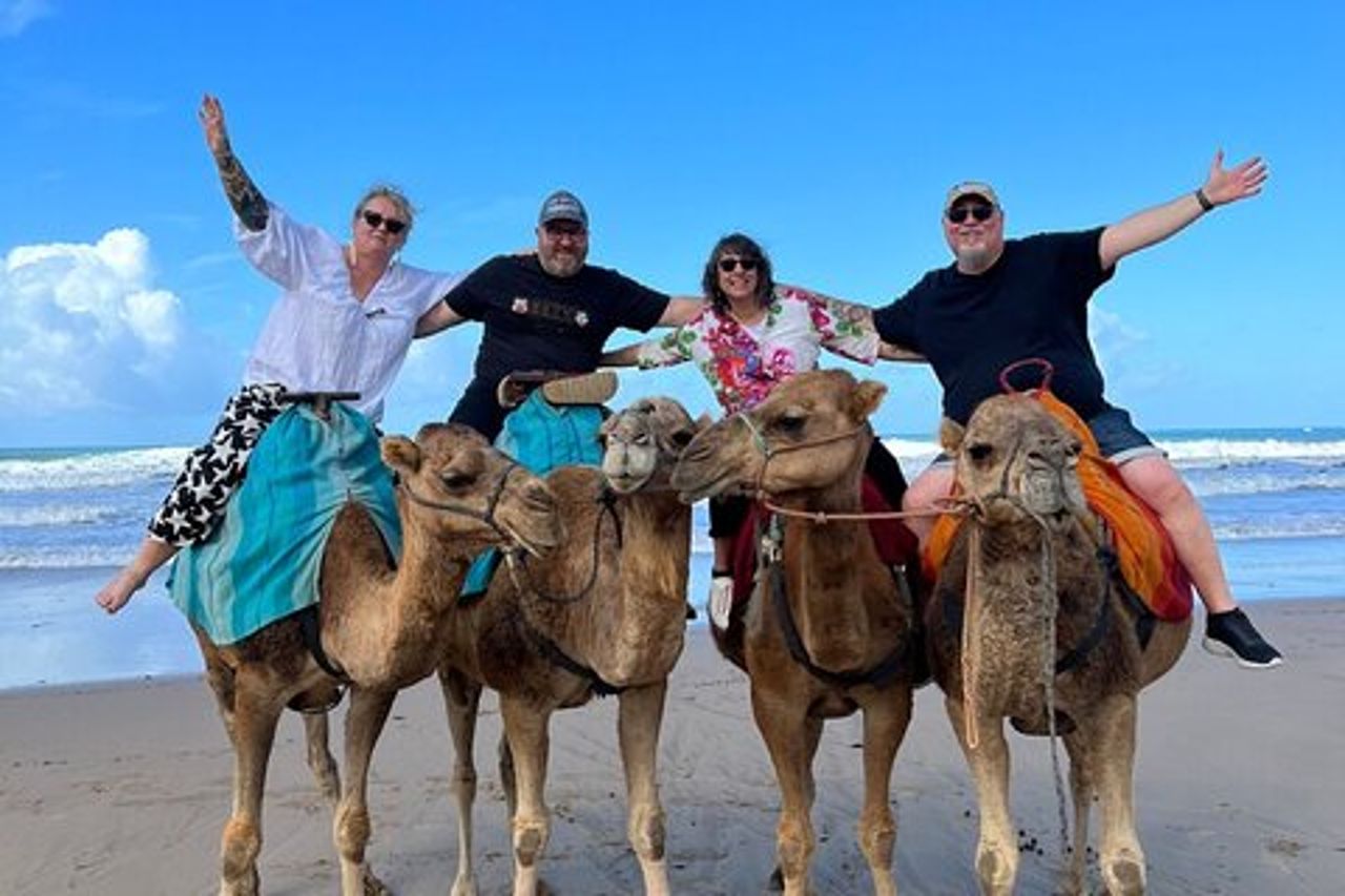 Gita di un giorno di lusso a Tangeri da Marbella Tour guidato privato