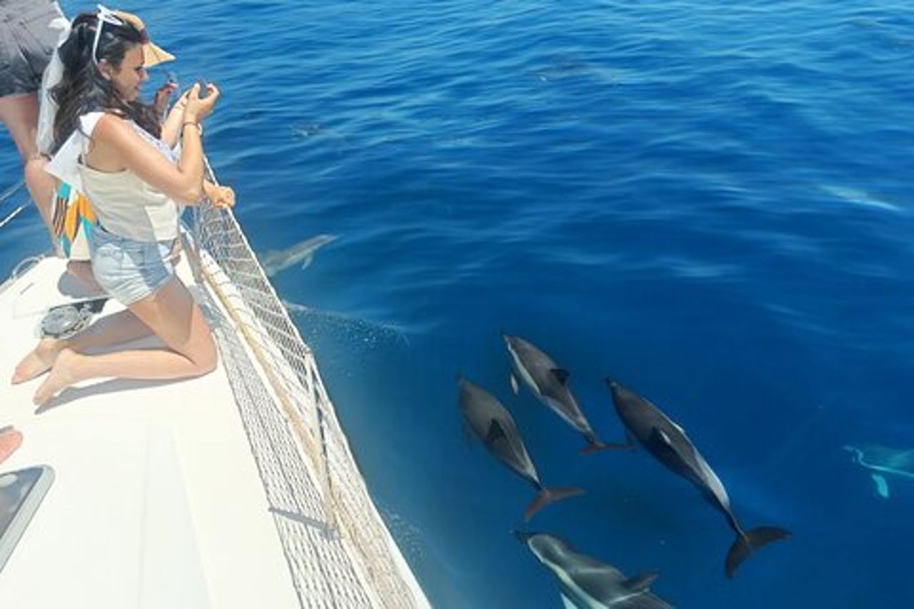 Esperienza di vela e avvistamento delfini a Marbella