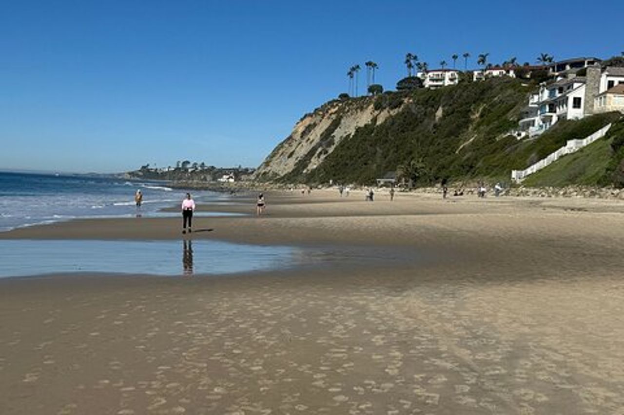 Escursione costiera guidata ed ecologia a Dana Point