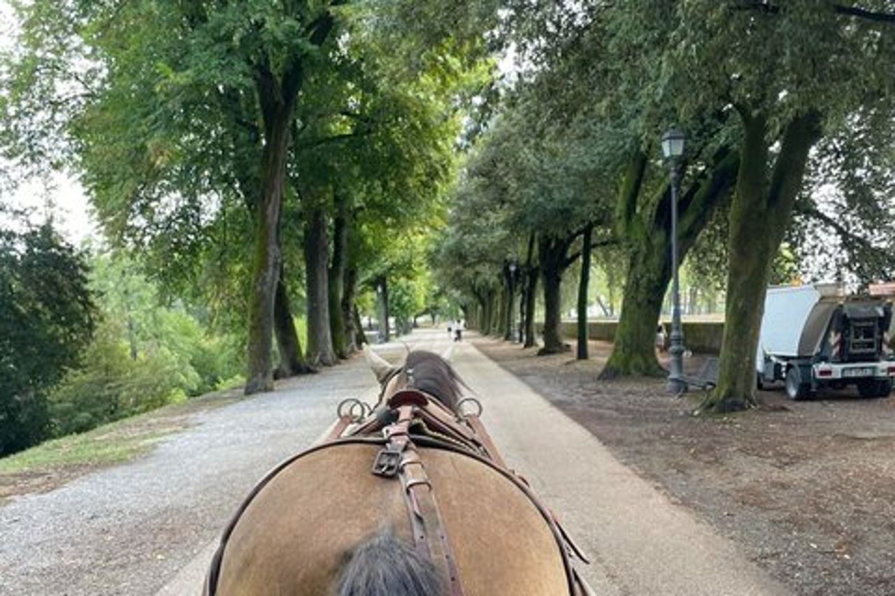 Tour in Carrozza di 1 Ora – Centro Storico e Mura Rinascimentali