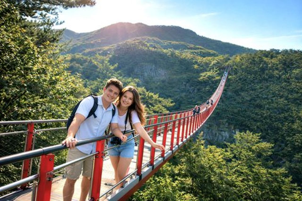 DMZ Insider Tour : 3rd Tunnel, NK Defector Meet& Suspension Bridge