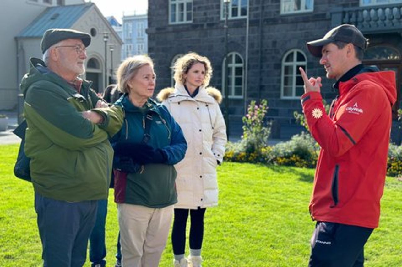 Tour a piedi privato di Reykjavik di 2 ore