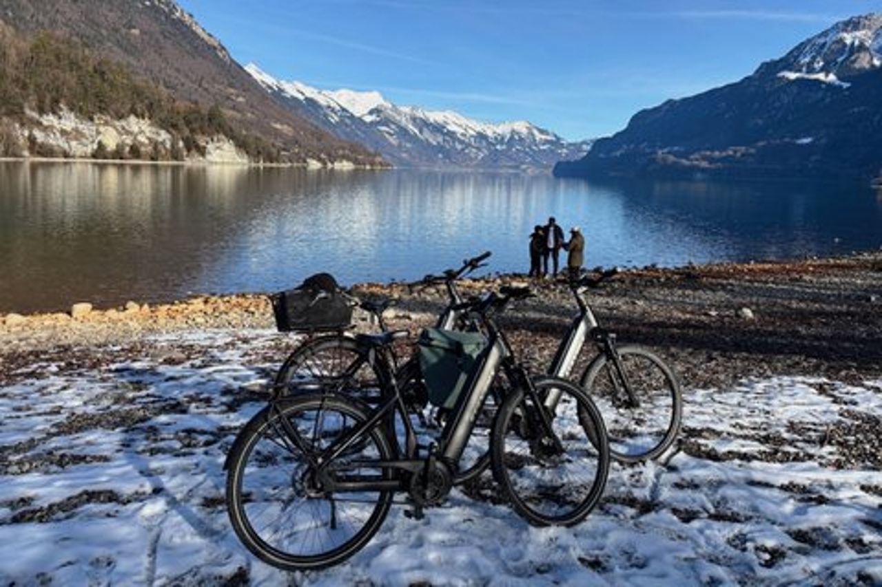 Tour invernale in e-bike della Valle di Interlaken: fiumi, laghi e castelli