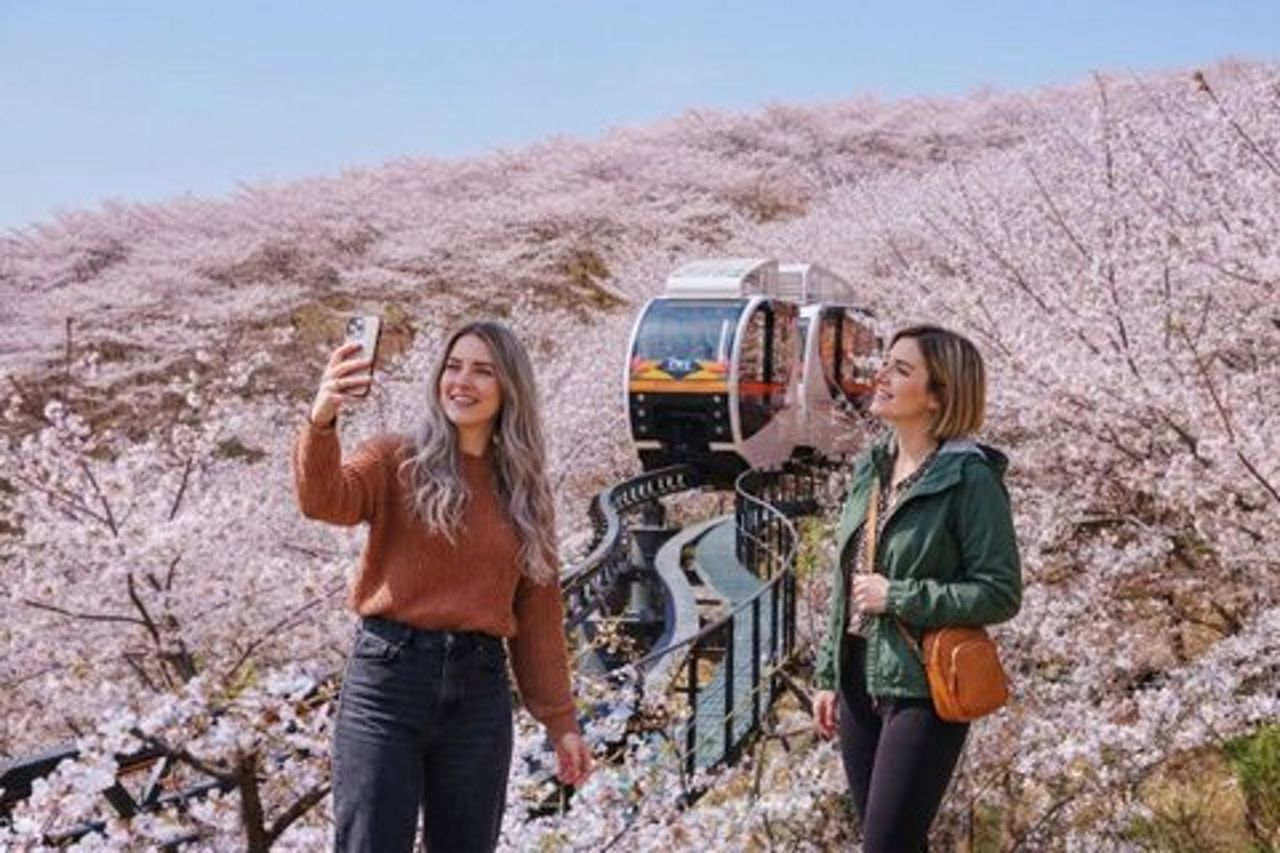 Da Seoul : Biglietto d'ingresso al giardino di Hwadamsup con bus navetta
