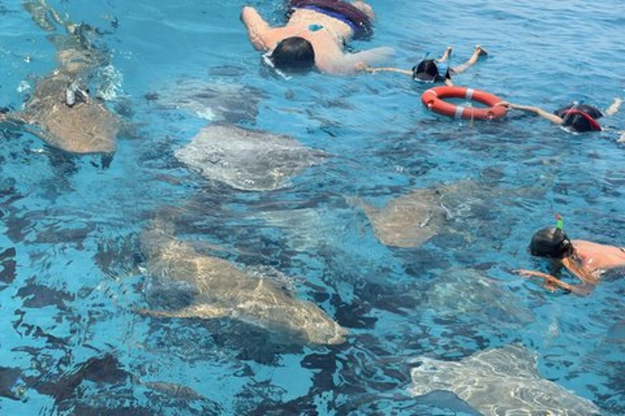 Maldive : Snorkeling con squali nutrice, barriera corallina, tour dei banchi di sabbia