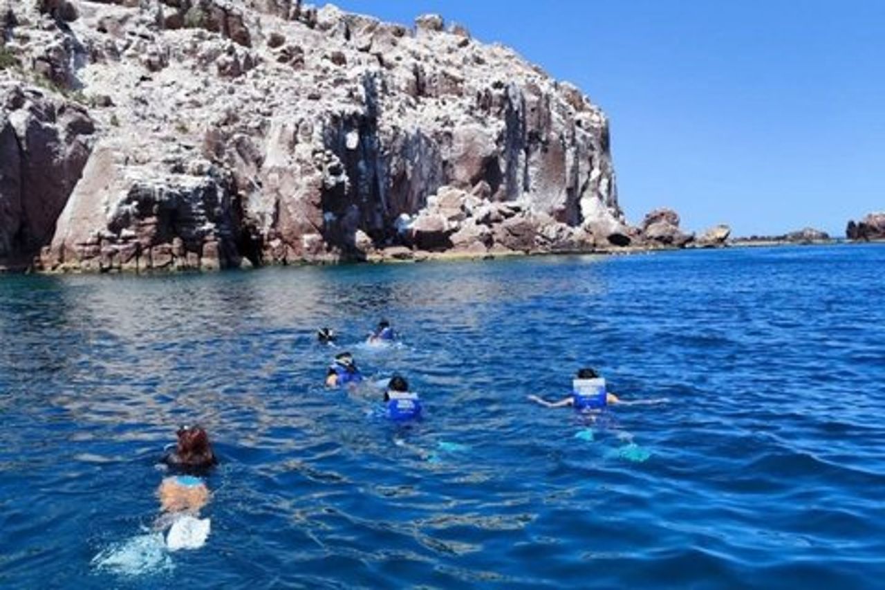 Tour tutto compreso dell'isola Espíritu Santo e Balandra