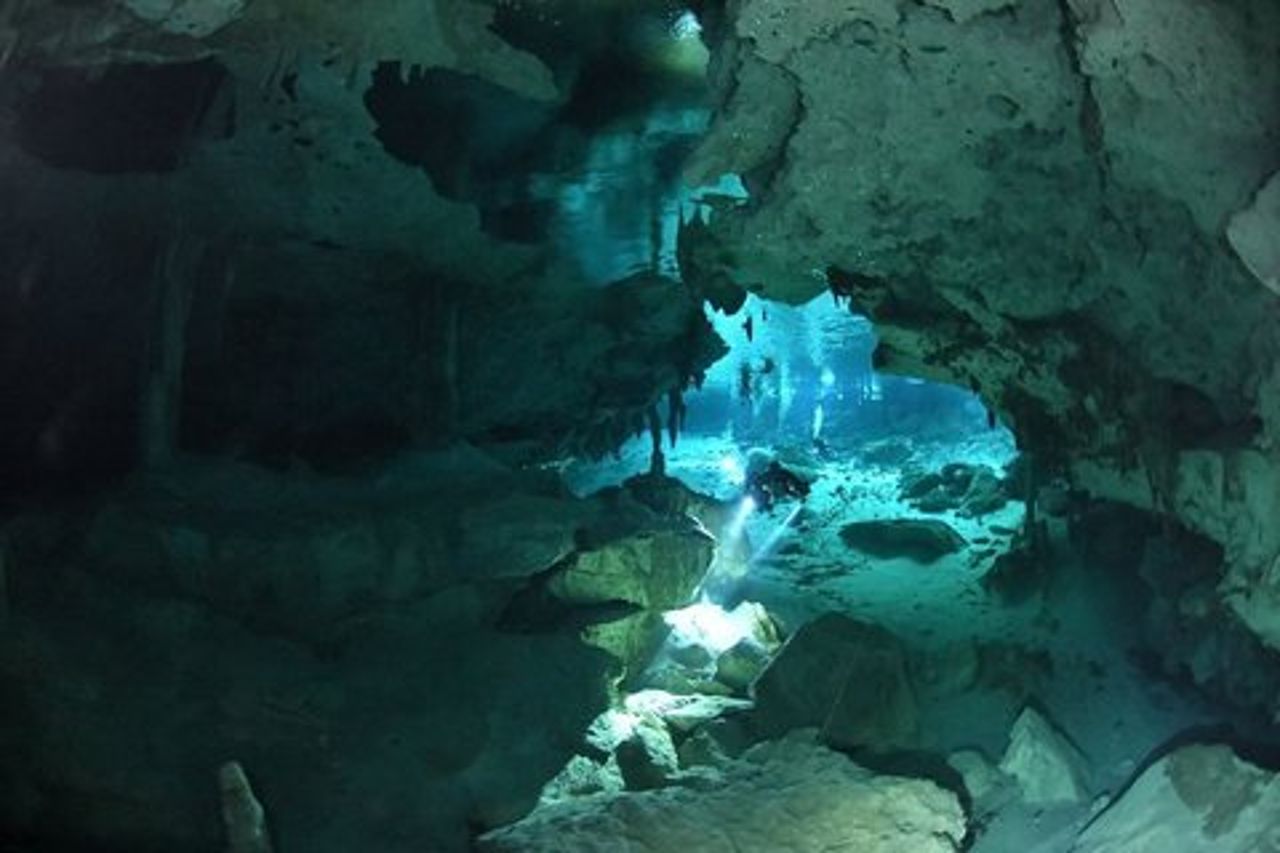 Dos Ojos Cenote Diving: Linea Barbie & Grotta dei Pipistrelli – Playa del Carmen