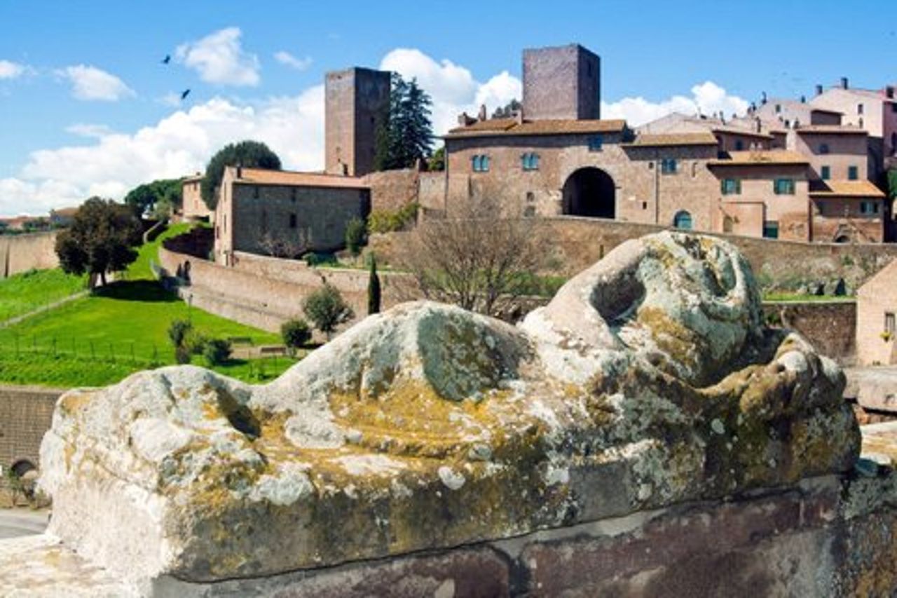 Da Roma: gita privata di un giorno a Viterbo e nella campagna della Tuscia