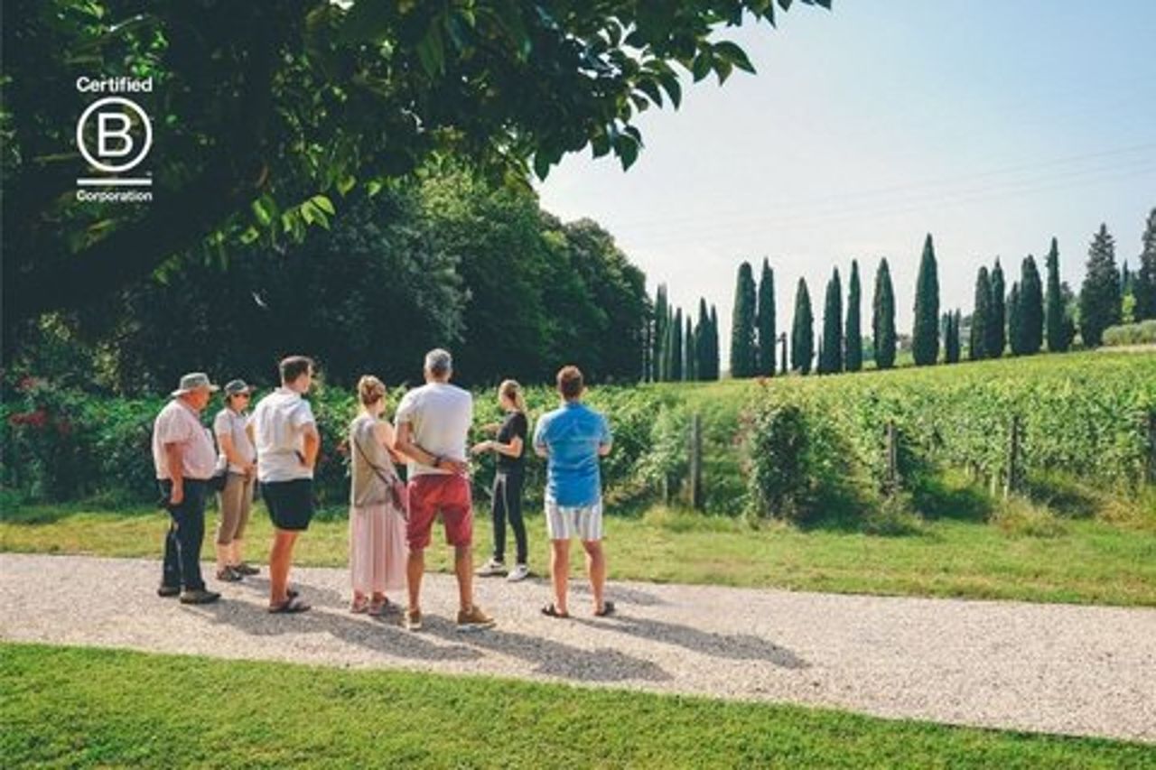 Da Verona alla Valpolicella: 2 degustazioni e viste in cantina