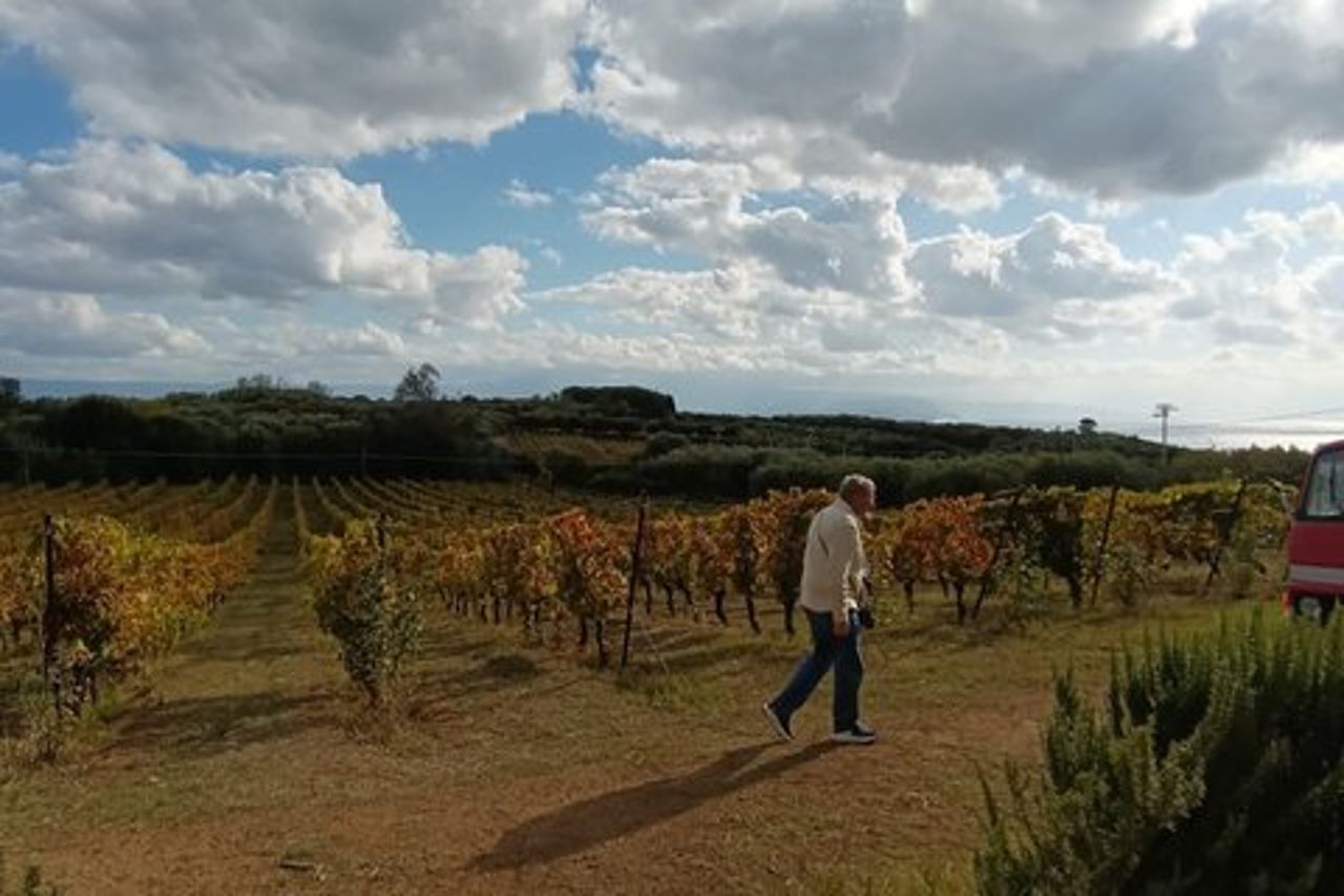 Esperienza di degustazione di vini lenti e gelato al tartufo