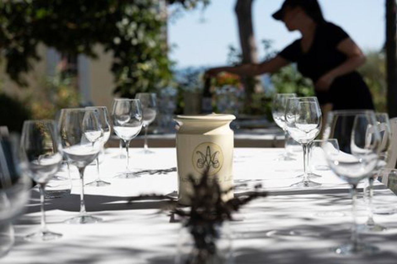 Winery Tour & degustazione di vini in una cantina familiare