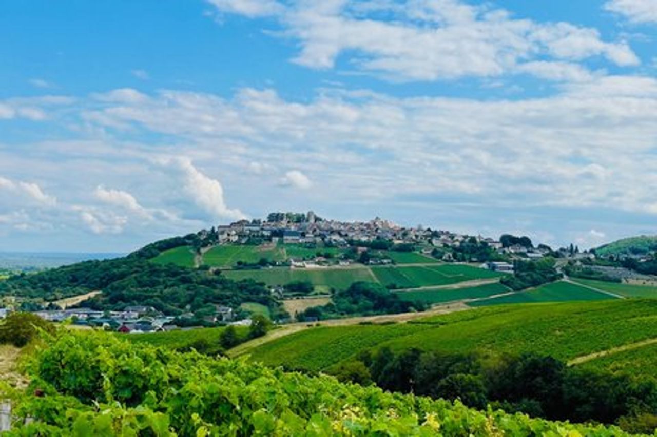 Tour esclusivo del vino di Paris Wine Day Tours nella zona di Sancerre