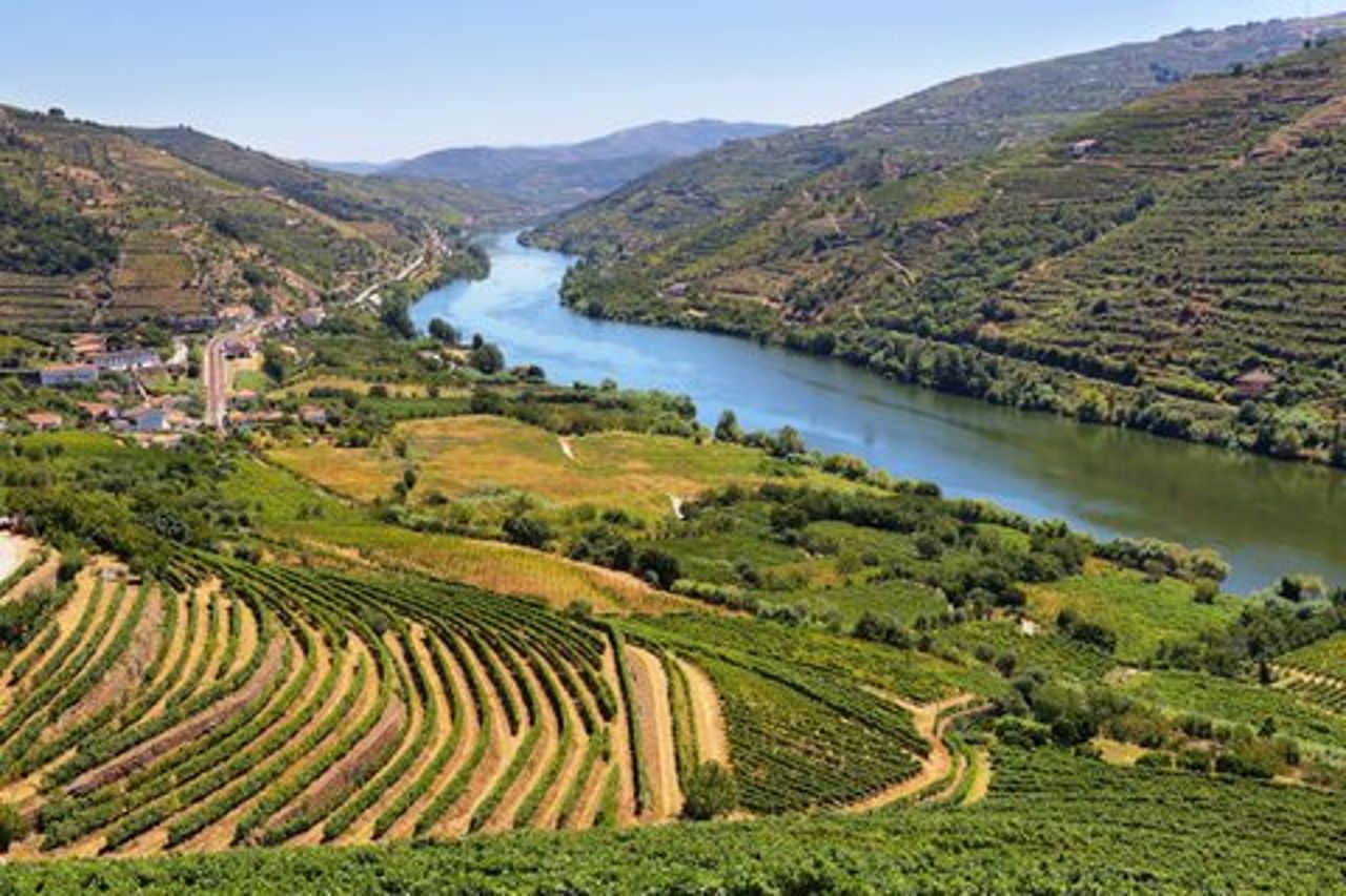 Tour di un giorno della Valle del Douro con crociera sul fiume, visita della cantina e pranzo