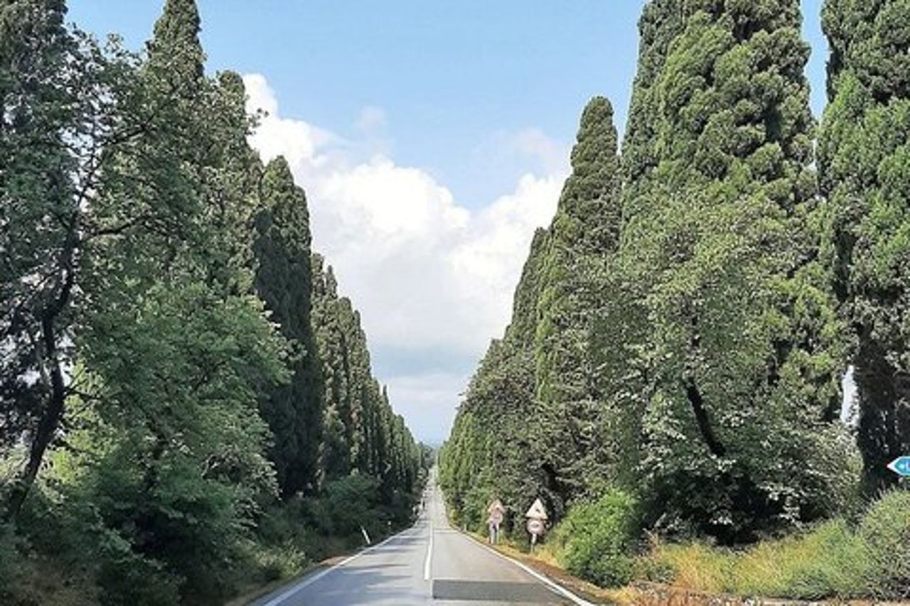 Firenze Private Day Trip Bolgheri Wine Experience e Volterra