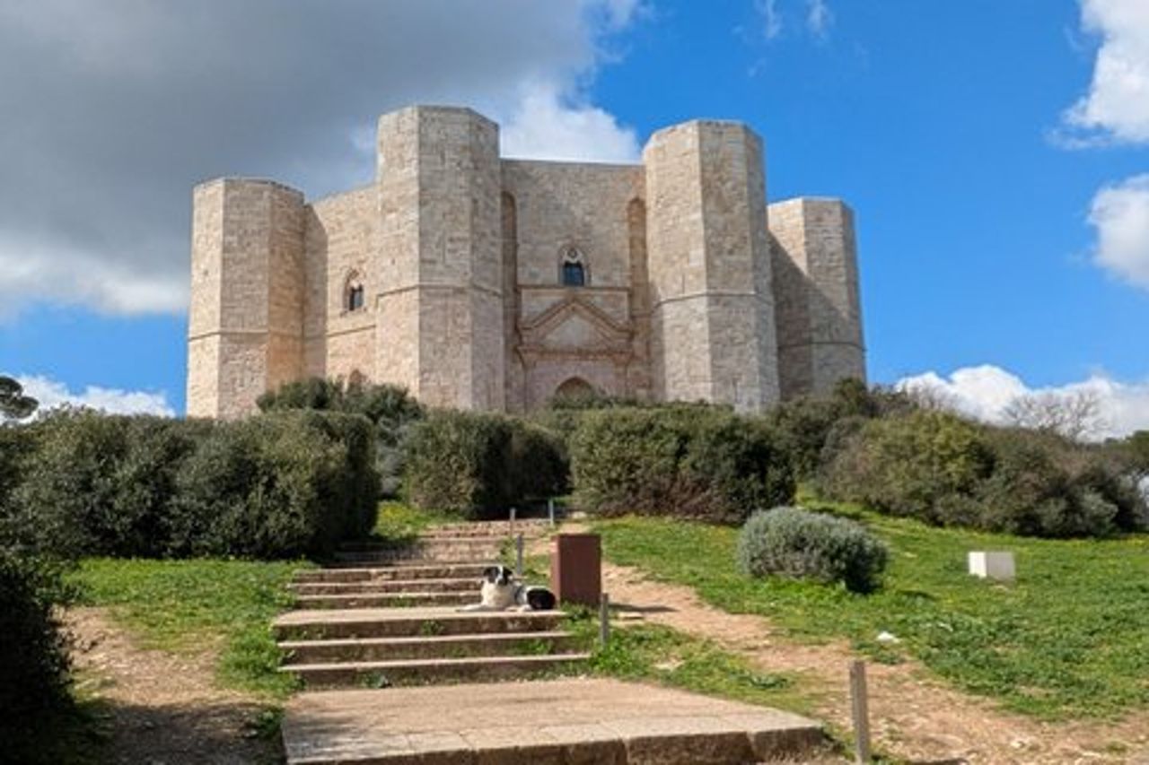Tour di Castel del Monte e Trani